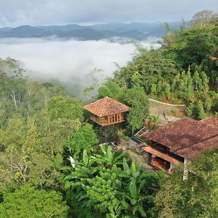 Spice Forest Plantation Homestay, Thekkady Vandiperiyar Luaran gambar