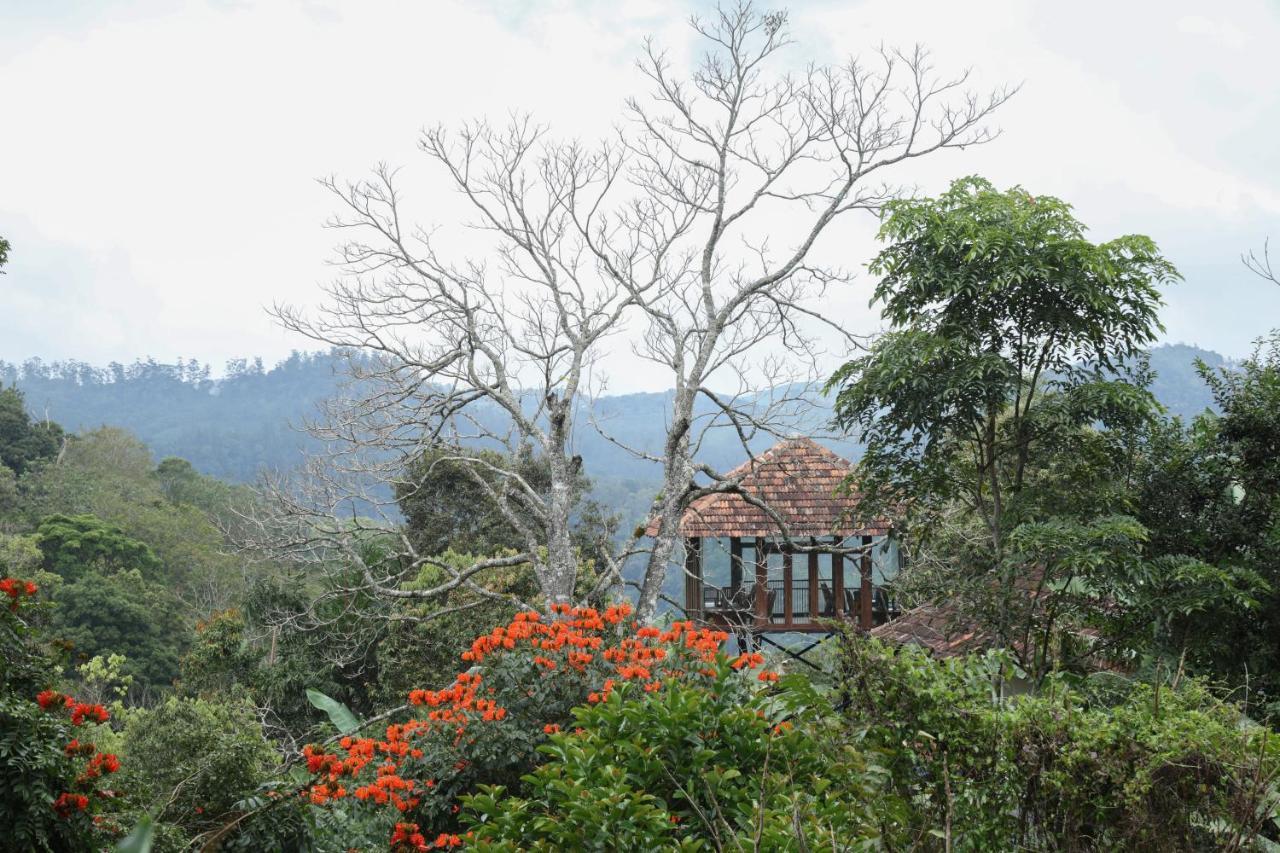 Spice Forest Plantation Homestay, Thekkady Vandiperiyar Luaran gambar