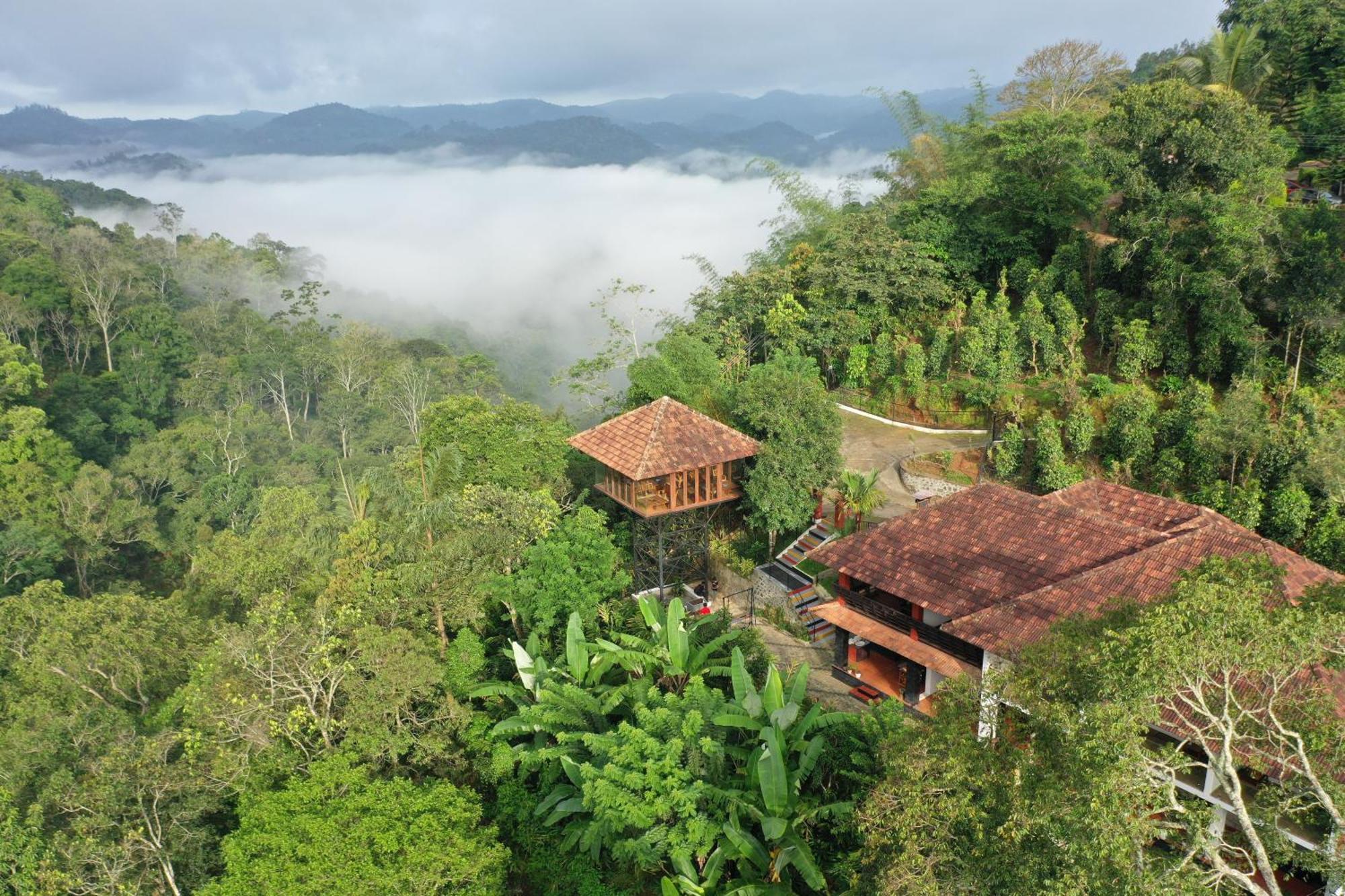 Spice Forest Plantation Homestay, Thekkady Vandiperiyar Luaran gambar