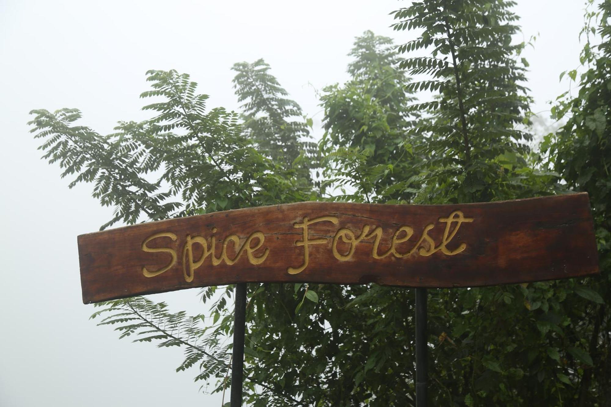 Spice Forest Plantation Homestay, Thekkady Vandiperiyar Luaran gambar