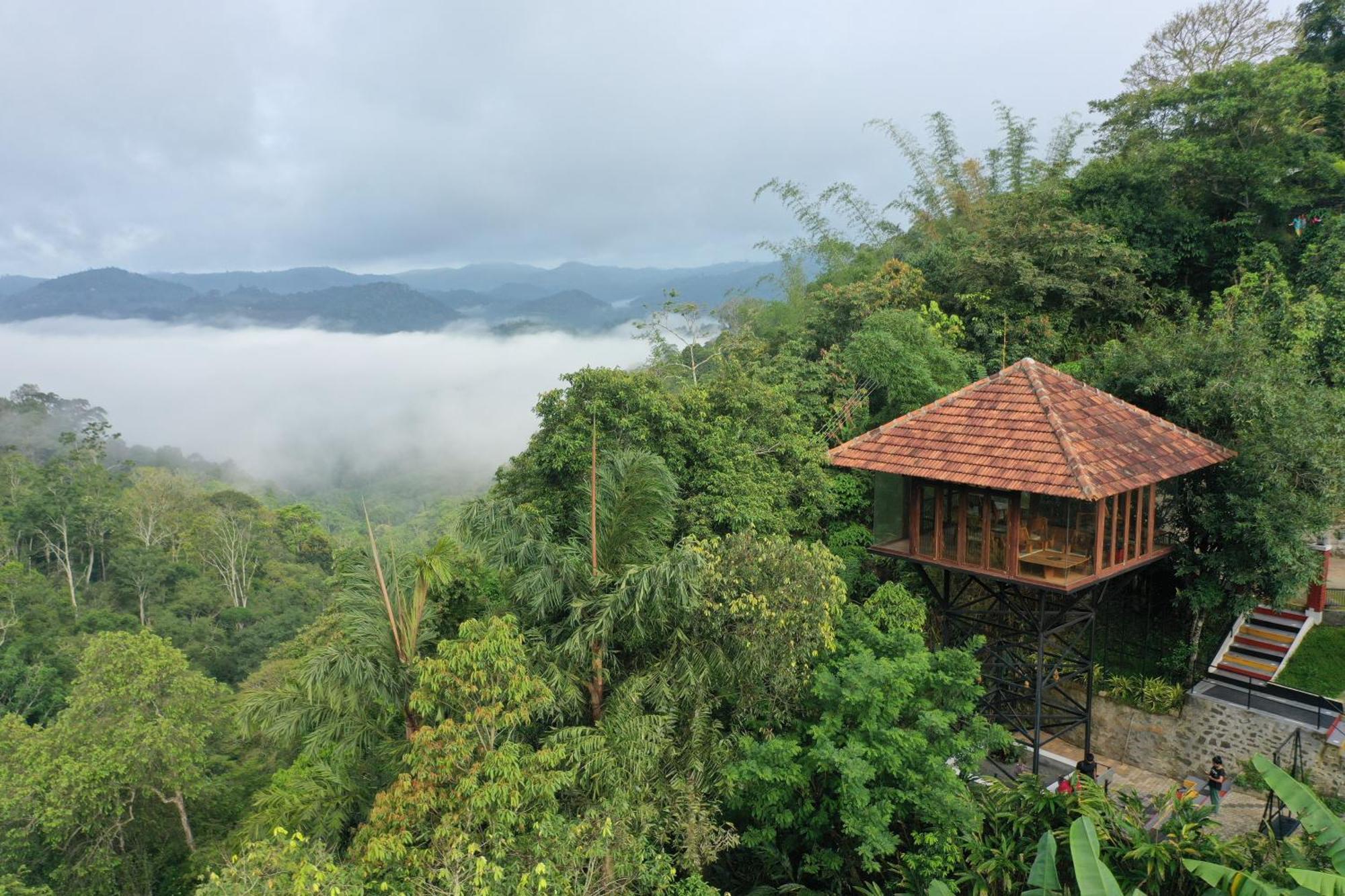 Spice Forest Plantation Homestay, Thekkady Vandiperiyar Luaran gambar
