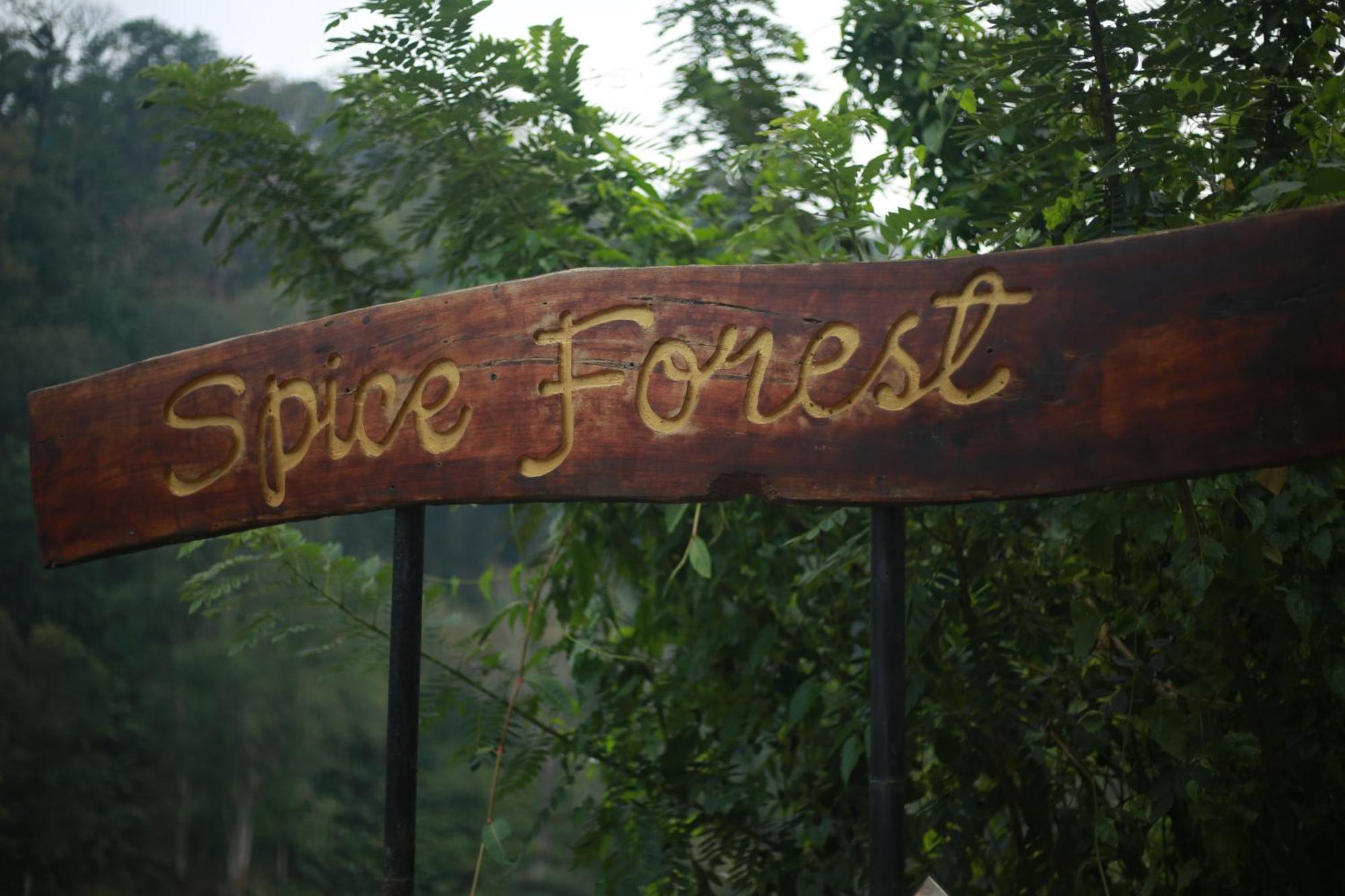 Spice Forest Plantation Homestay, Thekkady Vandiperiyar Luaran gambar