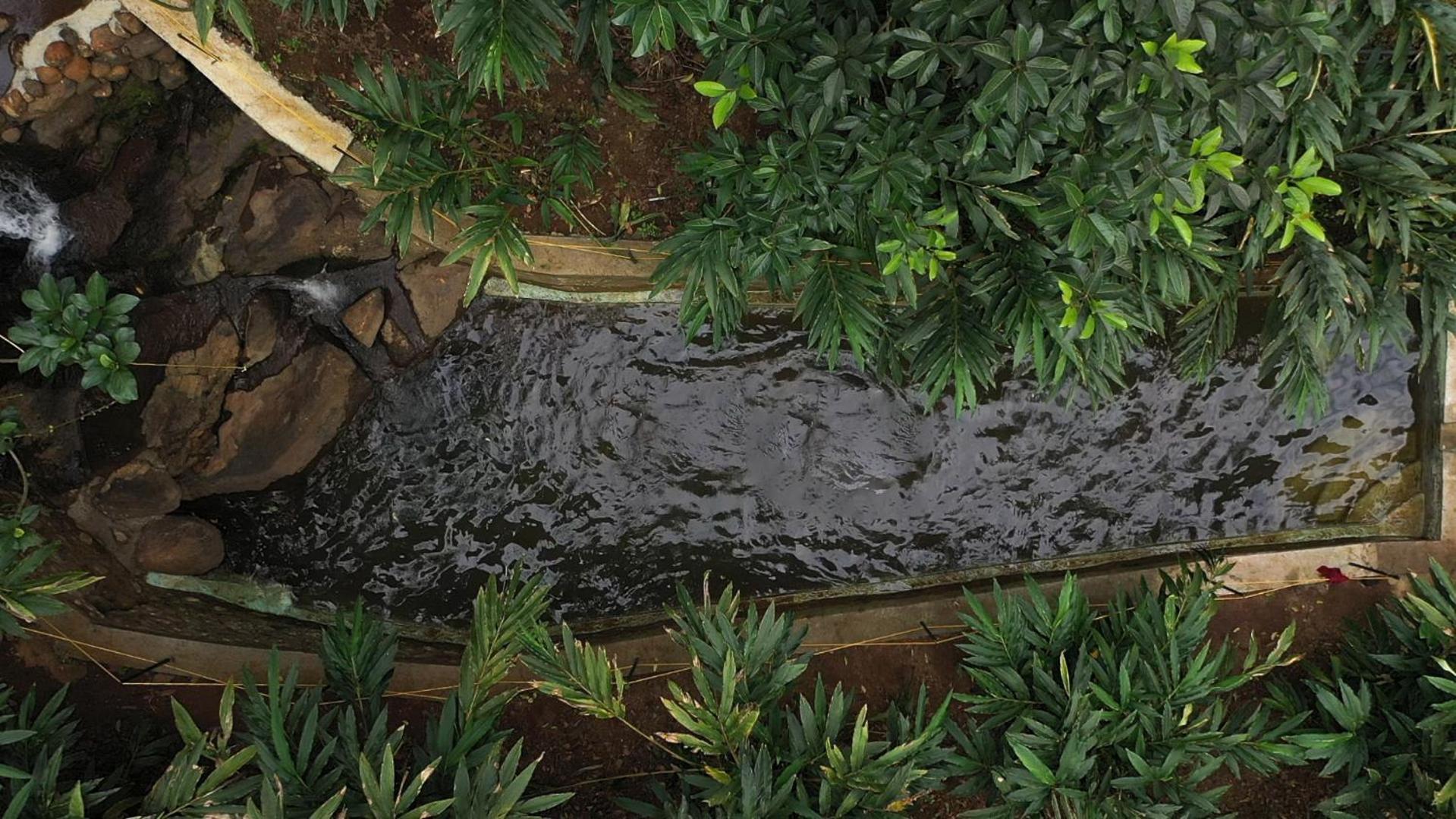Spice Forest Plantation Homestay, Thekkady Vandiperiyar Luaran gambar